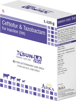 XSUN-LA TAZO carton